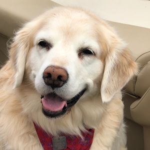 Meet your Posher, Brenda